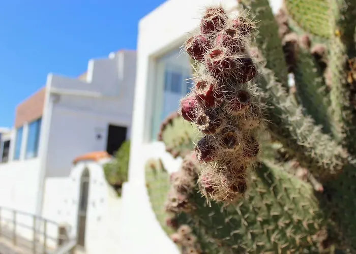 Bougainvillea Bamira Hotel Maspalomas (Gran Canaria)